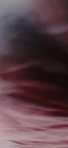 车震人妻 后续来了